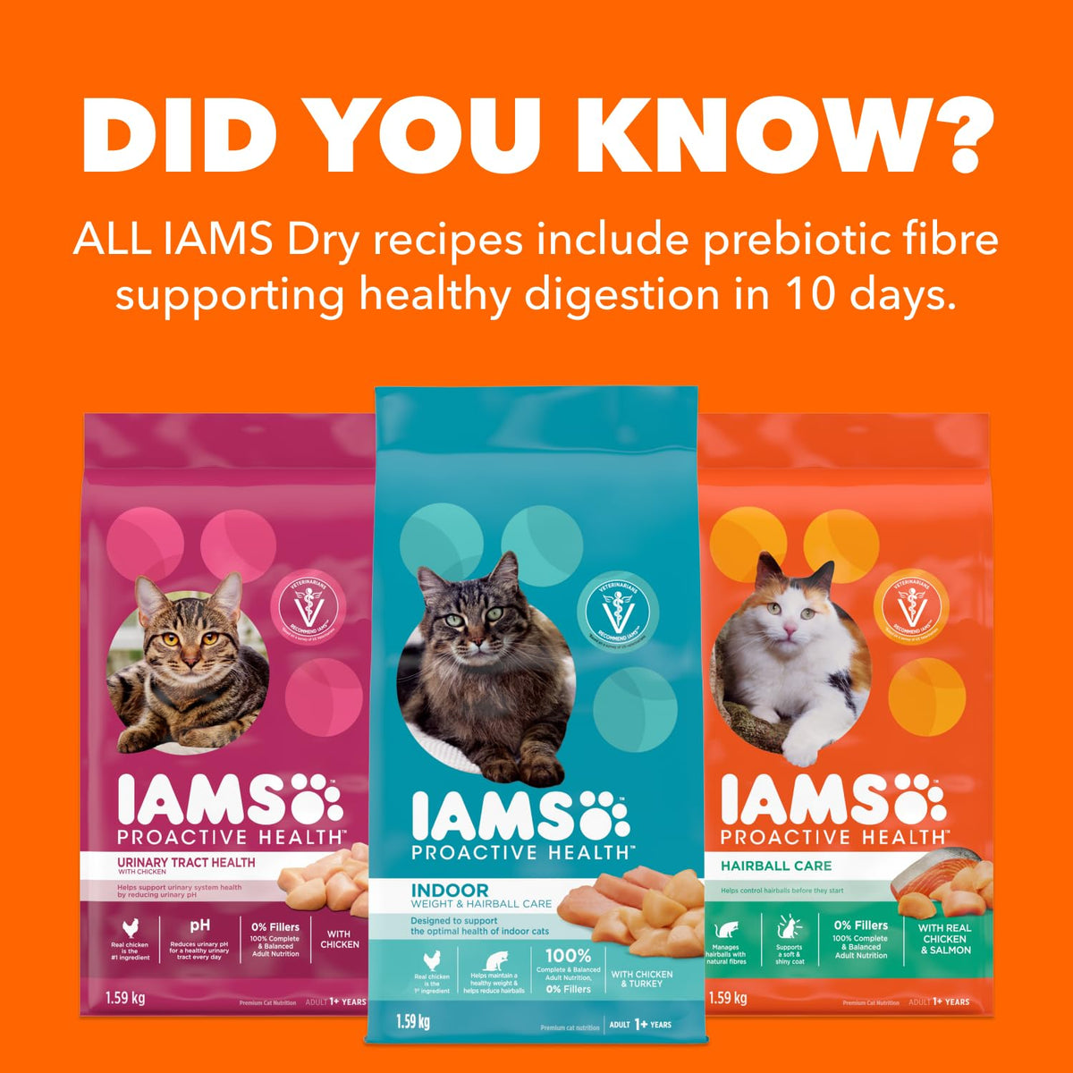 IAMS Proactive Health Sensitive Digestion & Skin Adult Dry Cat Food – Turkey – 2.72KG (5.9LB) Bag 🍁 All In One Marketplace Canada