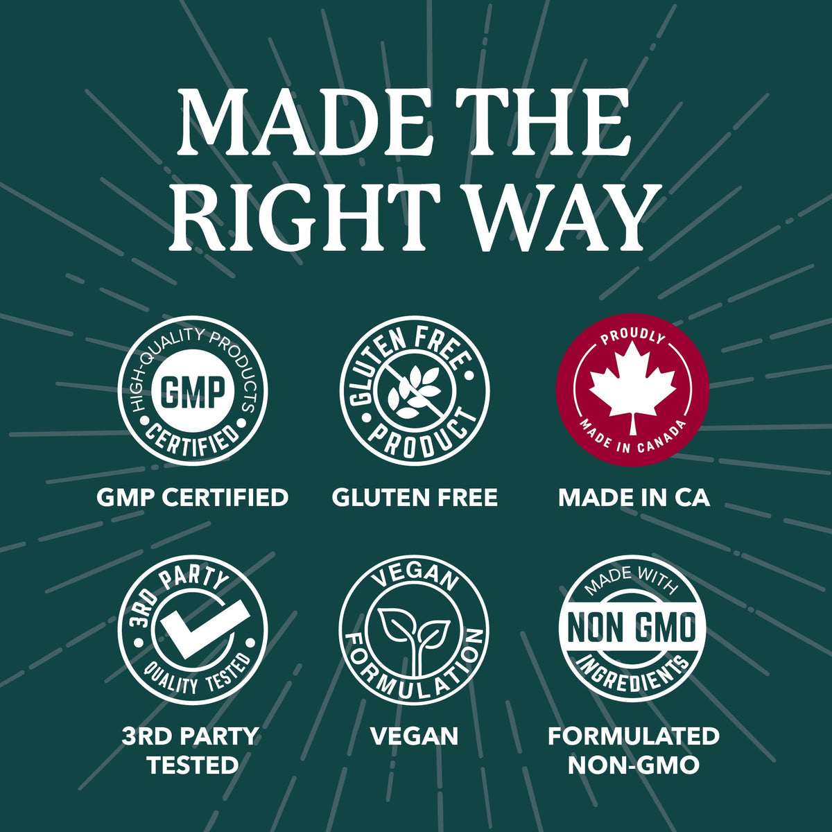 Probiotics for Men | Gut Health & Prostate Support | 50 Billion CFU with 15 Probiotic Strains | With Lycopene for Prostate Support | Men’s Gut Health Supplements | Non-GMO | Made in Canada | 60 Ct 🍁 All In One Marketplace Canada