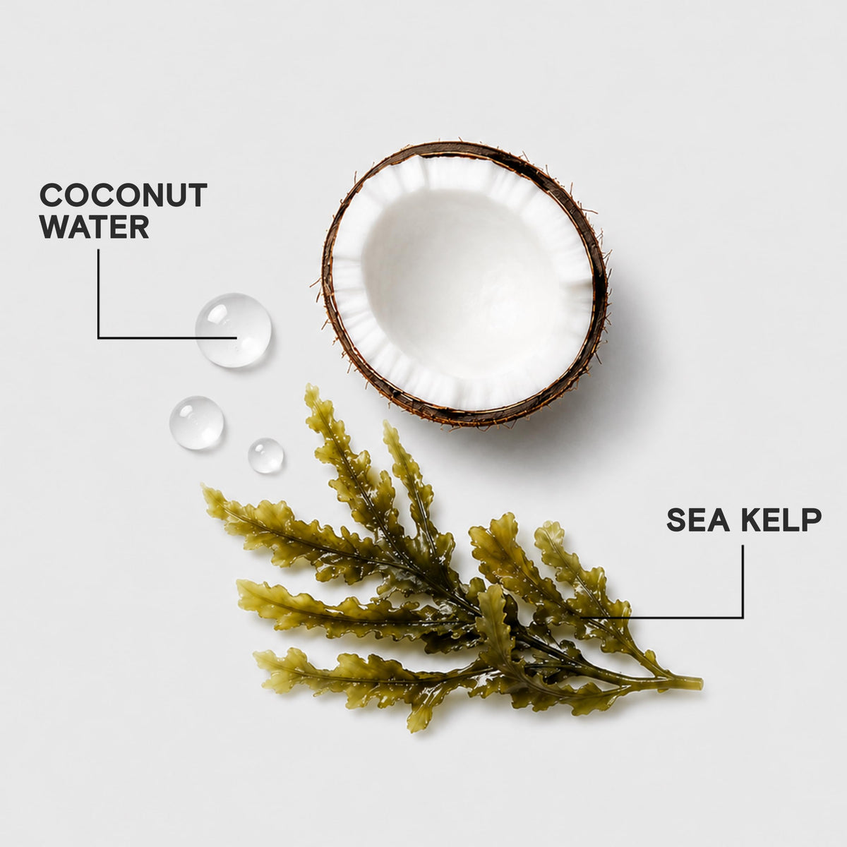 Joico HydraSplash Hydrating Shampoo or Conditioner for Fine to Medium Hair, Moisturizing Dry Damaged Hair with Keratin and Coconut Oil 🍁 All In One Marketplace Canada