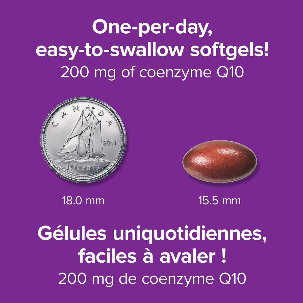 Webber Naturals Coenzyme Q10 (CoQ10) 200 mg, High Potency Antioxidant, Non-GMO, Gluten Free, 60 softgels, for Heart Health and Cellular Energy Production 🍁 All In One Marketplace Canada