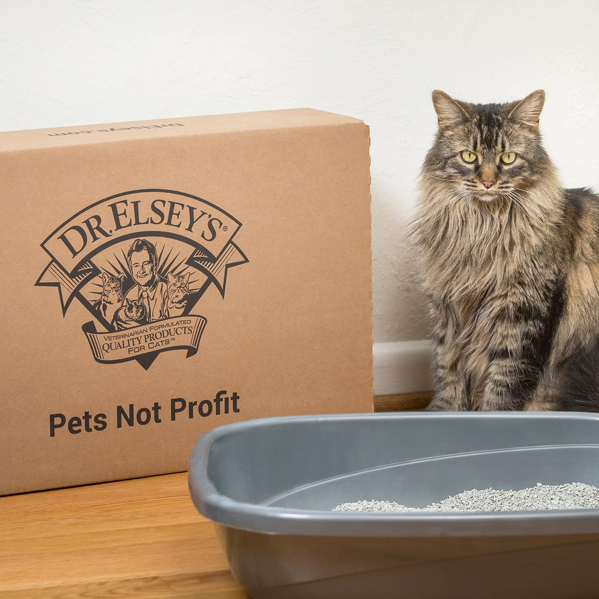 Dr. Elsey's R and R Cat Litter - Low Dust, Low Tracking, Hard Clumping, Superior Scent Control, Unscented and Natural Ingredients - Stress Reducing Kitty Litter, Supports Healthy Breathing 🍁 All In One Marketplace Canada