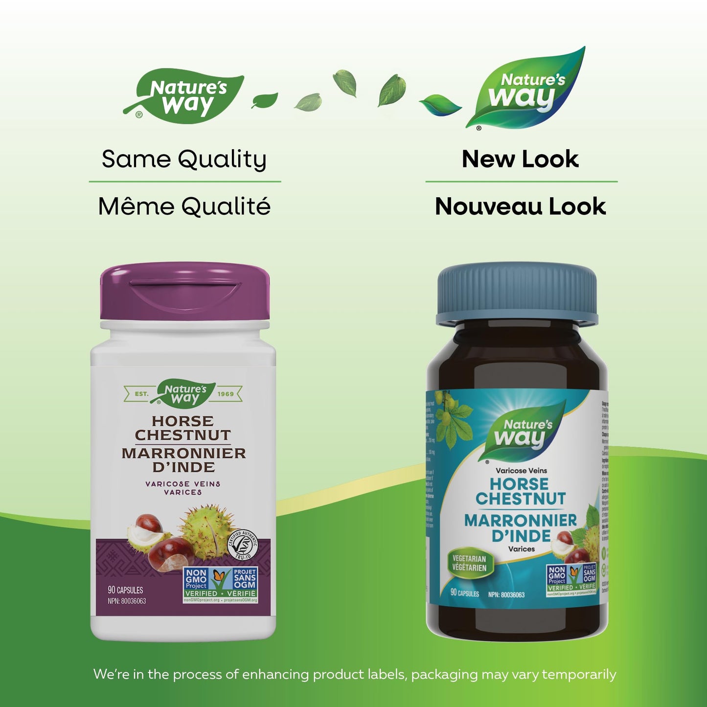 Nature's Way Horse Chestnut Supplement – Helps Treat Varicose Veins and Associated Symptoms – Digestive System Inflammation Relief – 100mg Calendula, 250mg Horse Chestnut – 90 Vegetarian Capsules 🍁 All In One Marketplace Canada