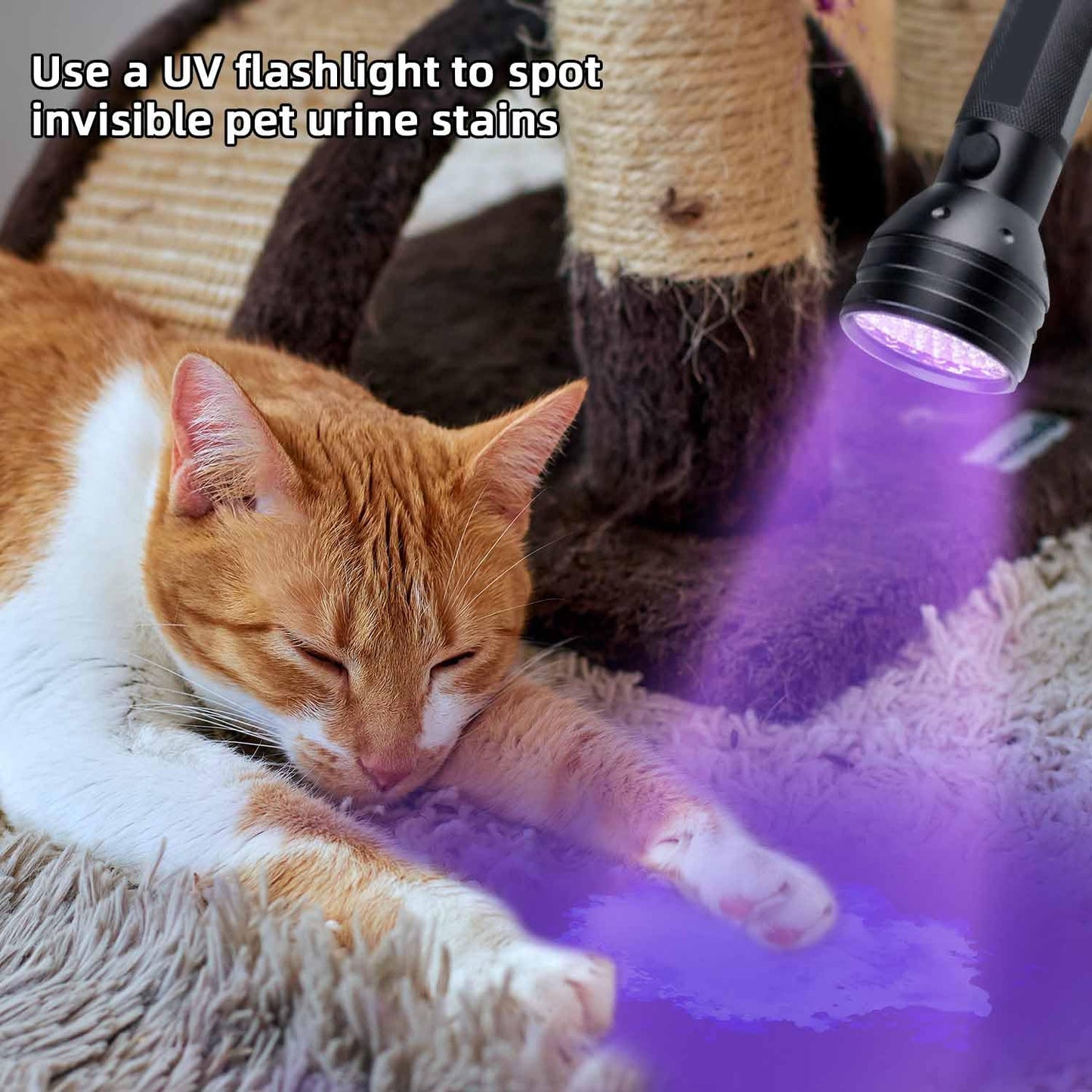MegaPower (TM) UV Flashlight Black Light 12 LED 395nm Hand-held Detecting Torch for Pet Urine, Stains, Verifying Money Documents, Black 🍁 All In One Marketplace Canada