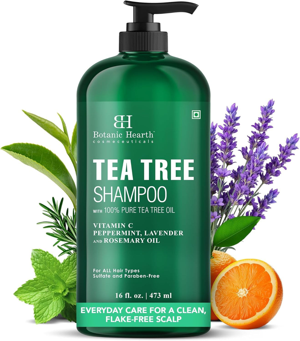 Botanic Hearth Tea Tree Shampoo for Dry & Itchy Scalp, Soothing & Hydrating Cleanser with Natural Tea Tree Oil, Sulfate & Paraben Free, For Men & Women, 16 fl oz 🍁 All In One Marketplace Canada
