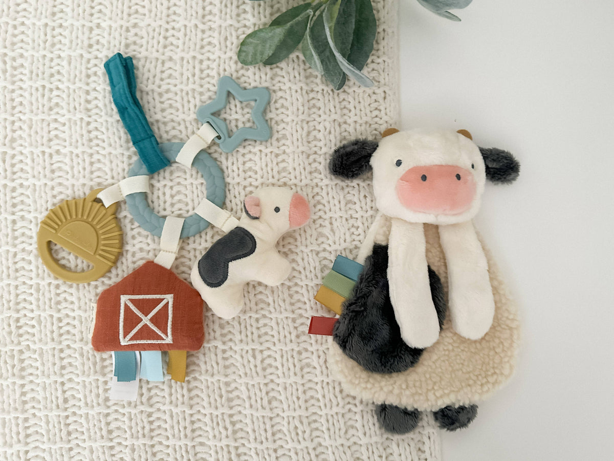 Itzy Ritzy Canada - Bitzy Busy Gift Set™ - Ages 0+