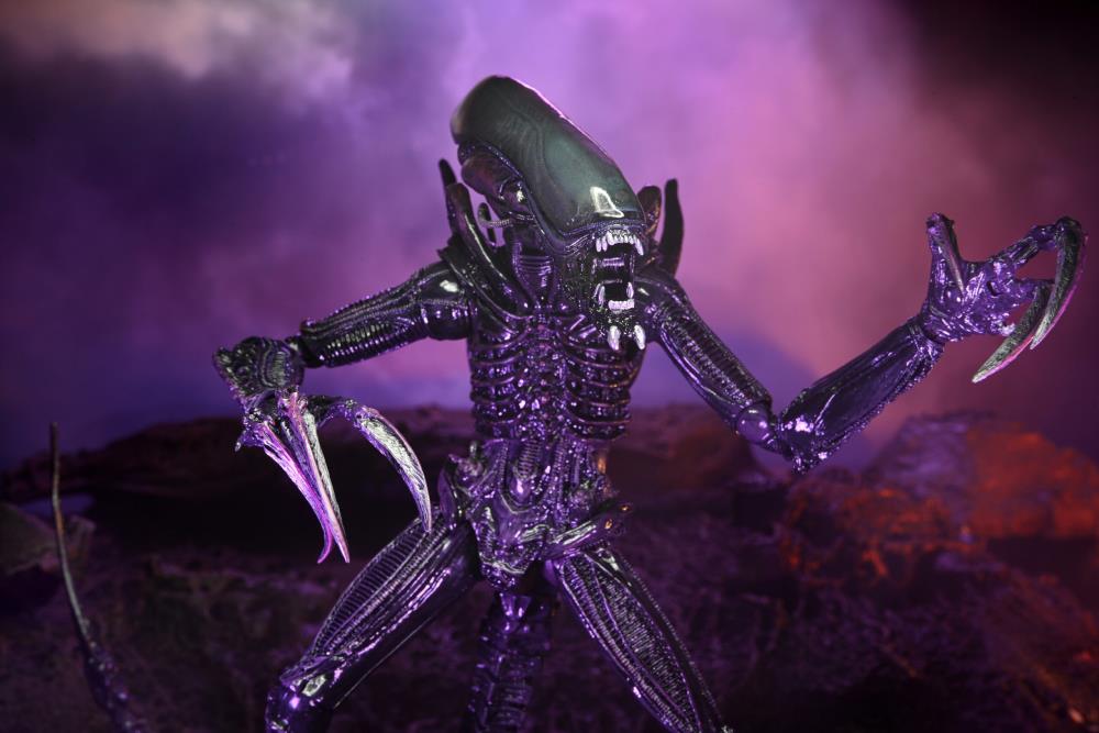 Neca - Alien vs. Predator Razor Claws - Movie Deco