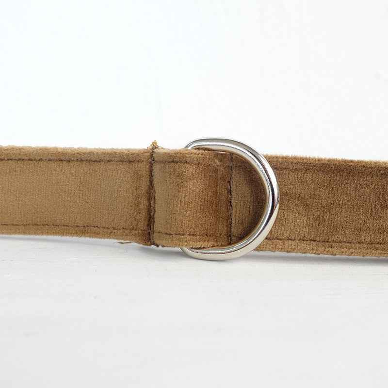 Pet dog ring leash