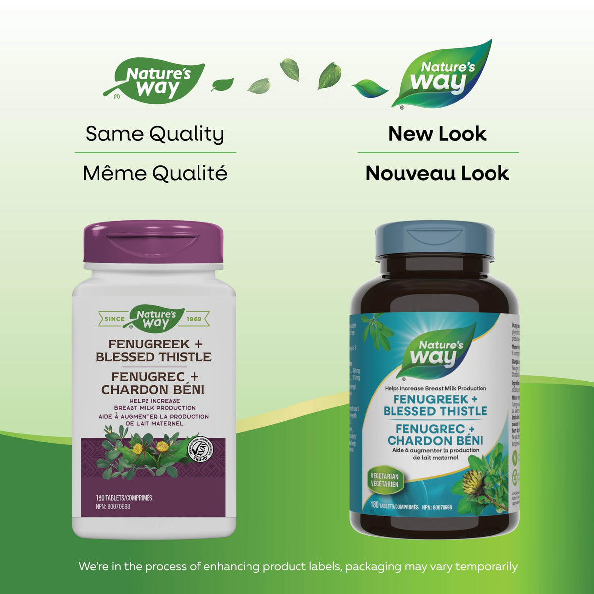Nature's Way Fenugreek + Blessed Thistle – Herbal Supplement for Digestion & to Promote Lactation – 450mg Fenugreek & 375mg Blessed Thistle for Breastfeeding Support – 180 Vegetarian Tablets 🍁 All In One Marketplace Canada