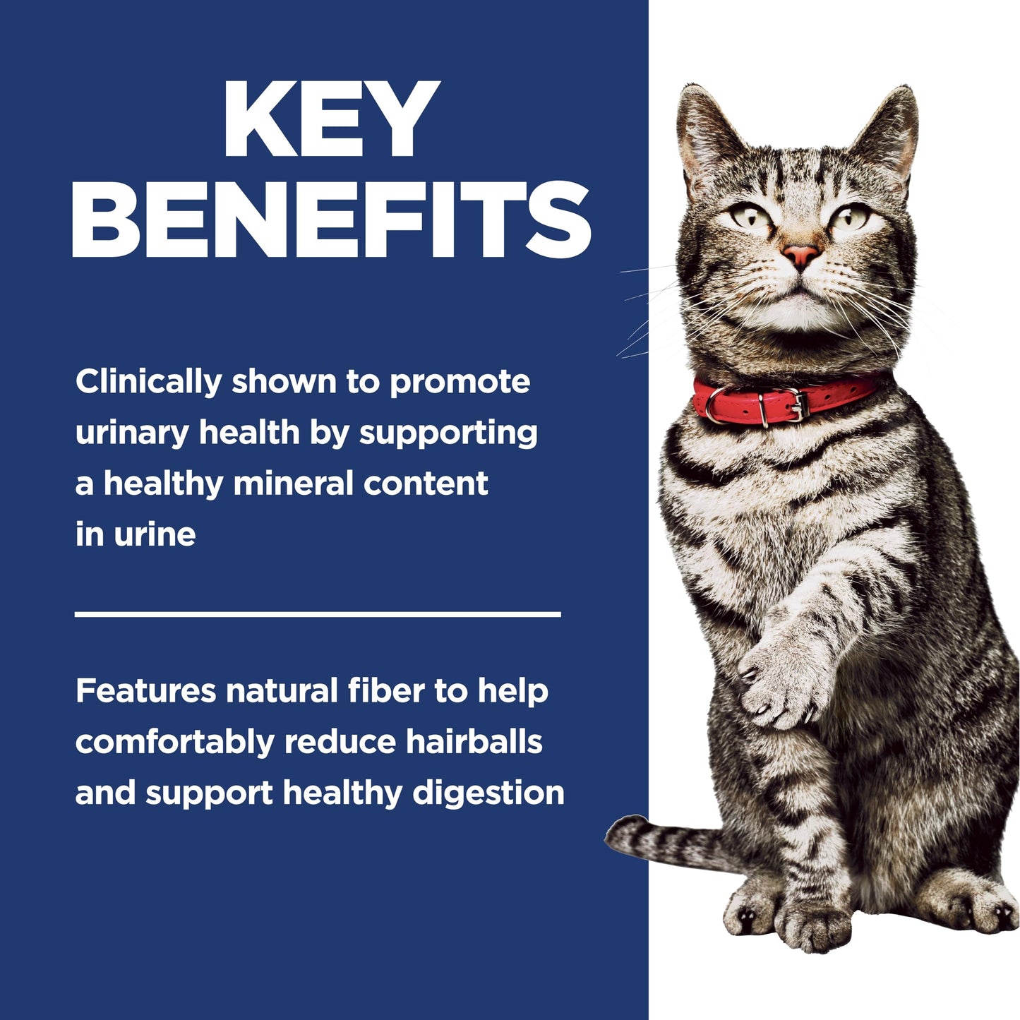 Hill's Science Diet Adult Urinary & Hairball Control Chicken Recipe Dry Cat Food 1.58 kg Bag 🍁 All In One Marketplace Canada