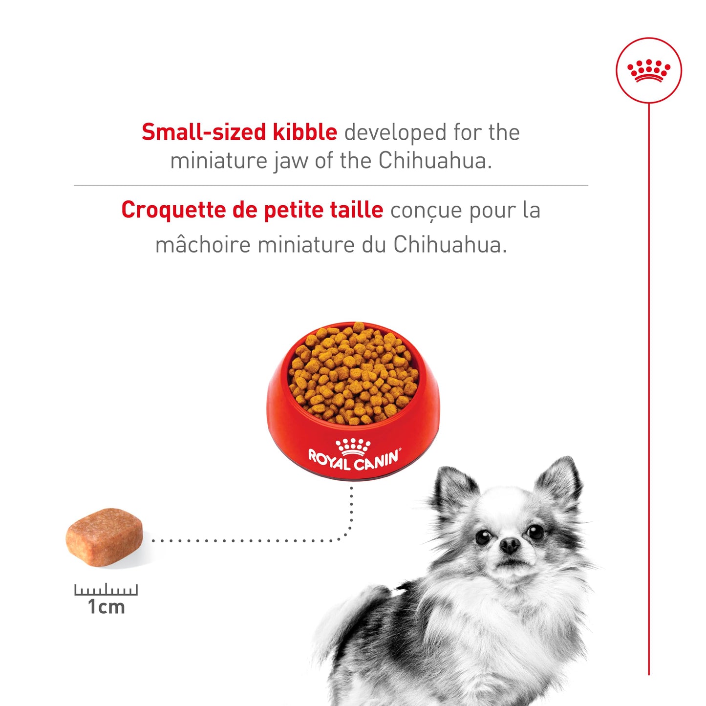 Royal Canin Chihuahua Adult Dry Dog Food, 10 lb bag 🍁 All In One Marketplace Canada