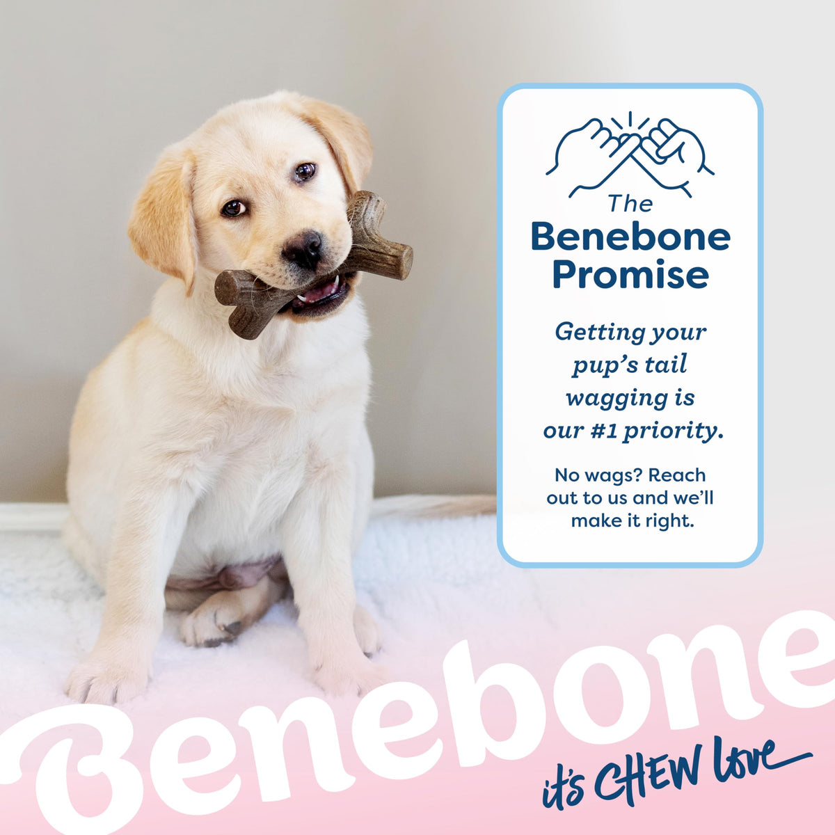 Benebone Puppy 4-Pack Dog Chew Toys for Gentle Chewers, Dog Bones, Small 🍁 All In One Marketplace Canada
