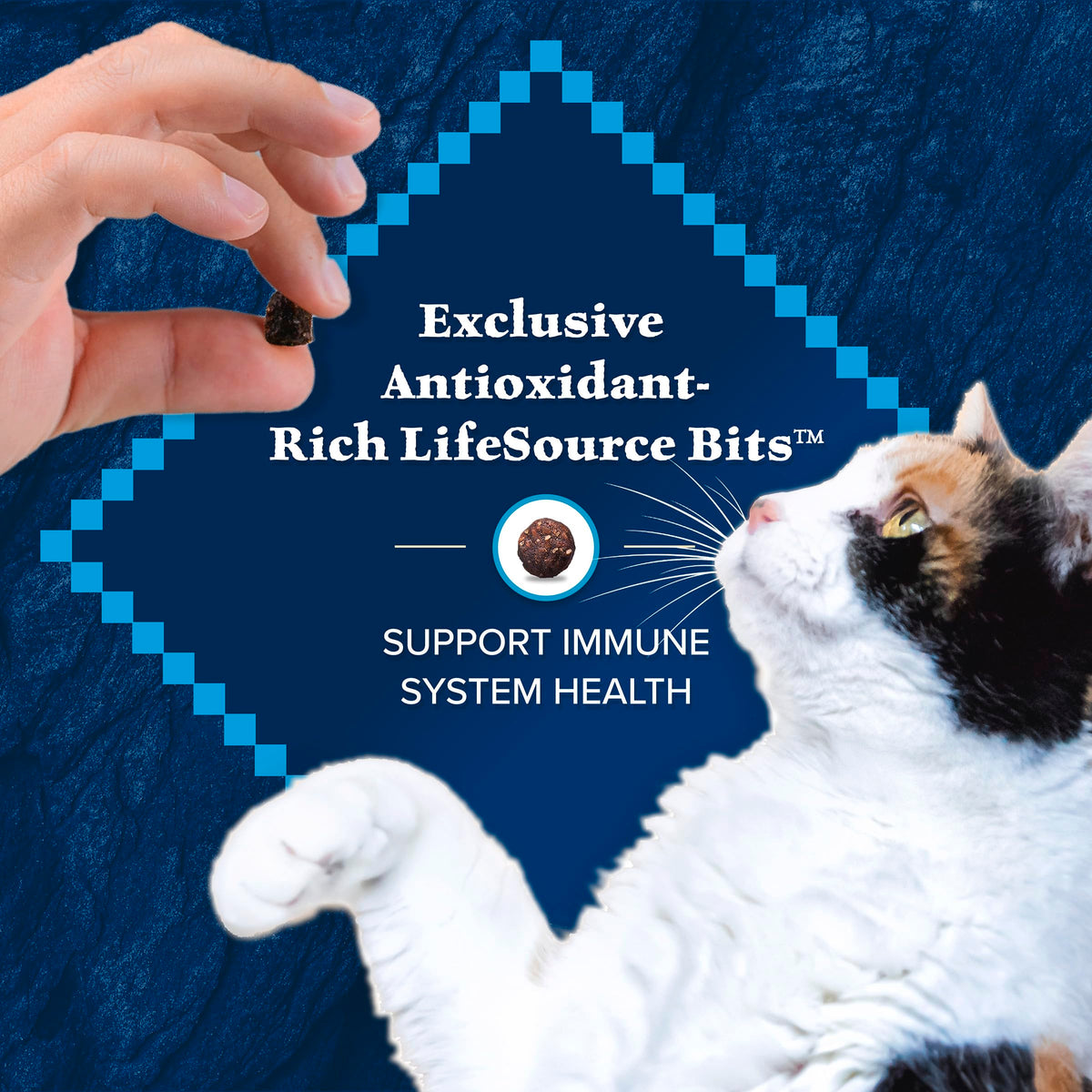 Blue Buffalo Wilderness Chicken Natural High-Protein Grain-Free Dry Food for Adult Indoor Cats, Real Chicken First, Antioxidant-Rich LifeSource Bits Support Immunity, Promotes Strong Muscles, 5 lbs. 🍁 All In One Marketplace Canada