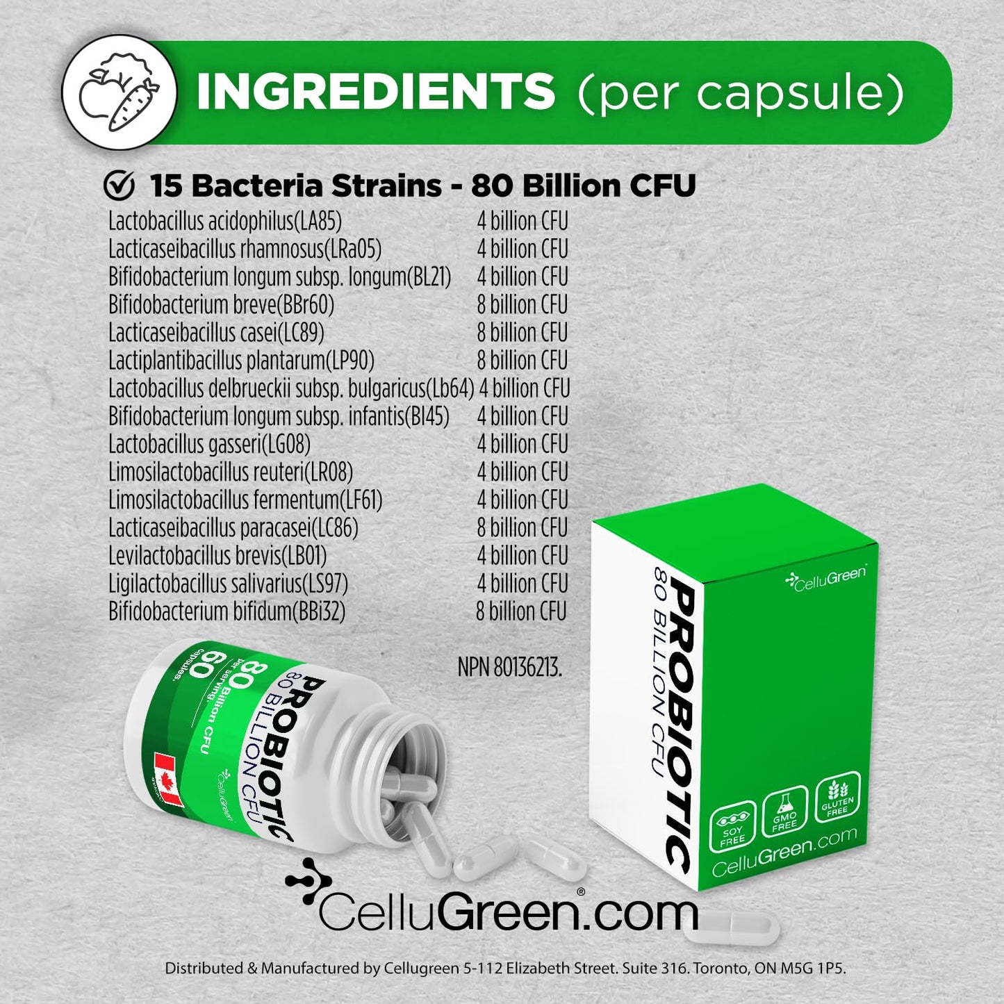CelluGreen Probiotics 80 Billion CFU for Men & Women – 15 Strains – Digestive & Gut Health Support – Bloating & Gas Relief – Shelf Stable, Vegan, Non-GMO – 60 Capsules 🍁 All In One Marketplace Canada
