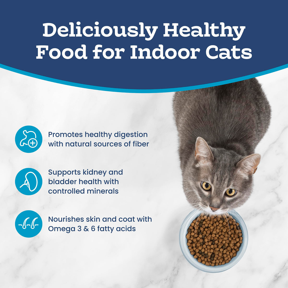 Blue Buffalo Tastefuls Chicken & Brown Rice Recipe Sensitive Stomach Adult Dry Cat Food, Real Chicken First, Deliciously Healthy Natural Cat Food, Natural Ingredients, Supports Digestion, 3.1kg Bag 🍁 All In One Marketplace Canada