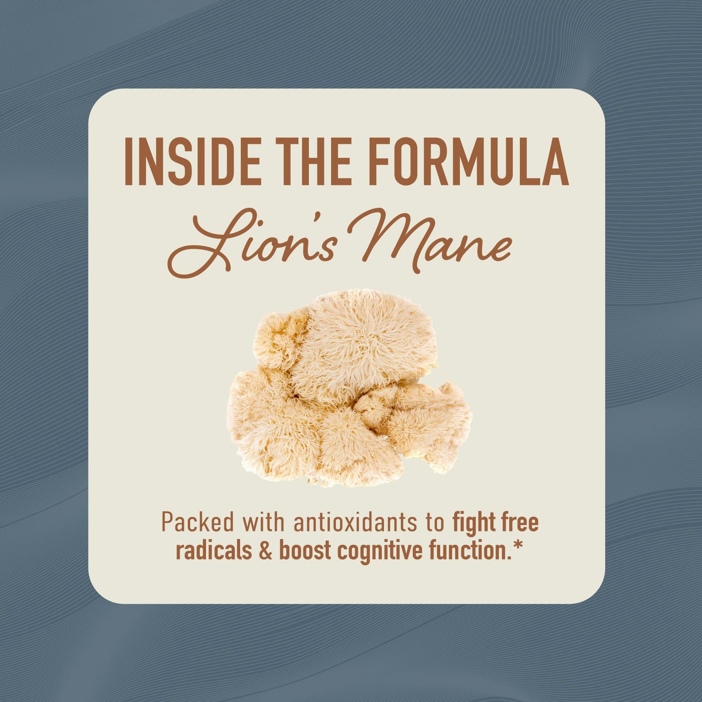 Lion’s Mane Supplement & Nootropic for Mental Clarity | 4 Month Supply | Performance & Memory Support | Antioxidant Rich & Immunomodulating Mushroom | Extra Strength Lions Mane 500mg | Non-GMO 120ct 🍁 All In One Marketplace Canada