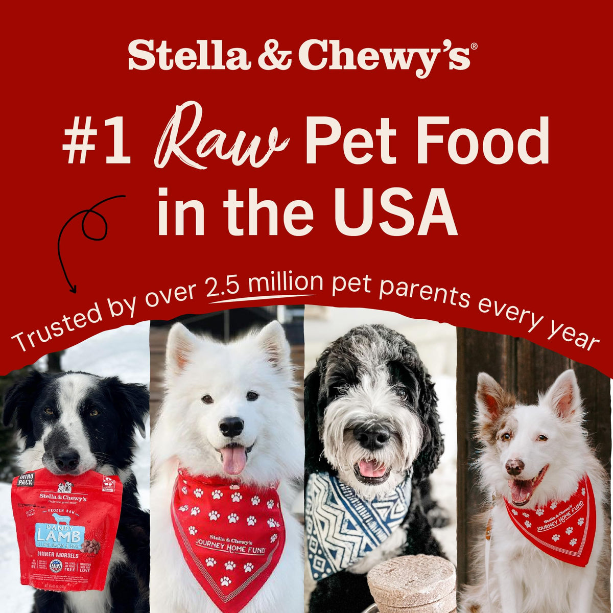 Stella & Chewy's Freeze-Dried Raw Single Ingredient Lamb Heart Treats, 85g Bag 🍁 All In One Marketplace Canada