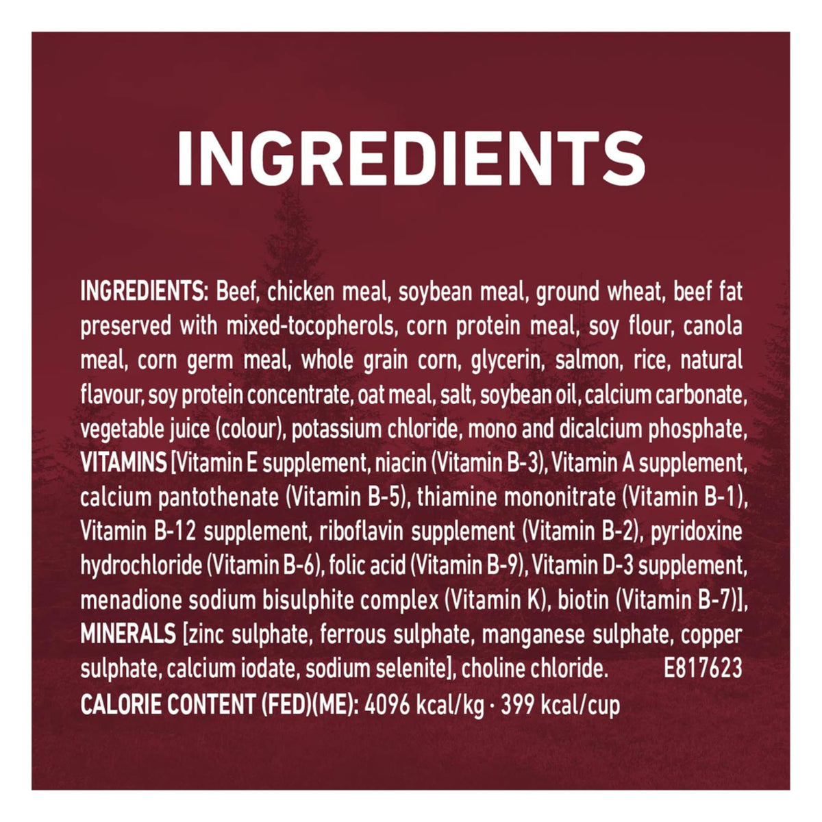 Purina ONE True Instinct High Protein Dry Dog Food, Beef & Salmon - 12.4 kg Bag (1 Pack) 🍁 All In One Marketplace Canada