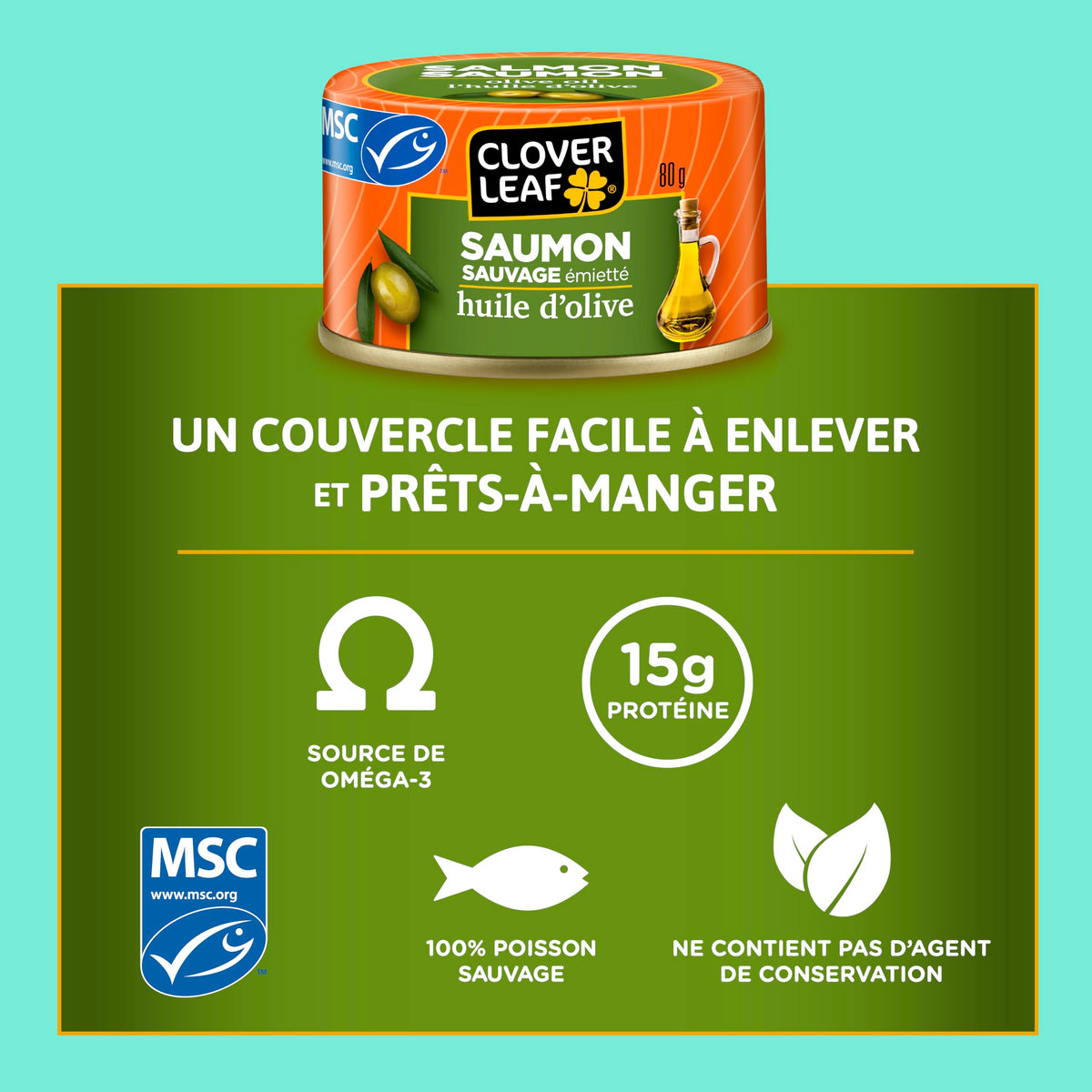 Clover Leaf Wild Flaked Pink Salmon Olive Oil 80g, 24 Easy-Peel Cans 🍁 All In One Marketplace Canada