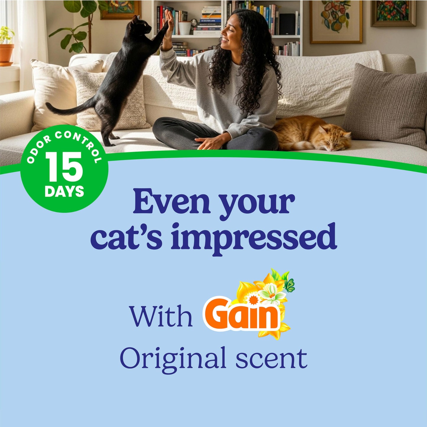 Fresh Step Clumping Cat Litter with Febreze Gain Scent, Long Lasting Odor Control Kitty Litter with Activated Charcoal, Low Dust Formula, 14 lb 🍁 All In One Marketplace Canada