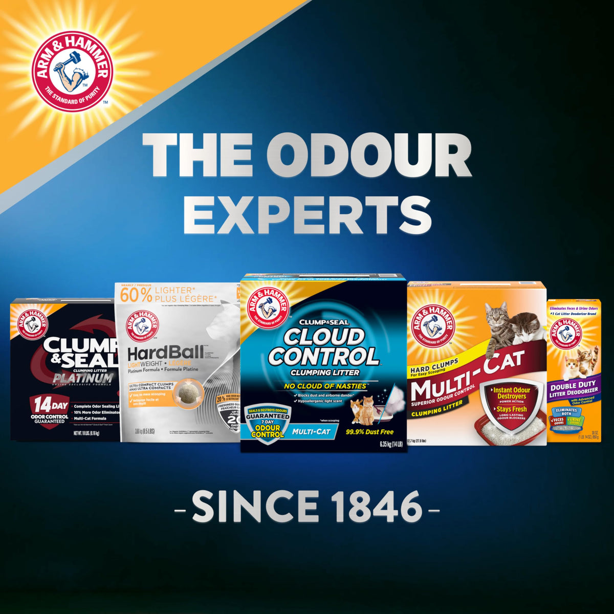 ARM & HAMMER Platinum Cat Litter, Cloud Control, Extra Strength with 14 Days of Odour Control, Multi-Cat Clumping Cat Litter with Hypoallergenic Light Scent, 12.47kg (Pack of 1) 🍁 All In One Marketplace Canada