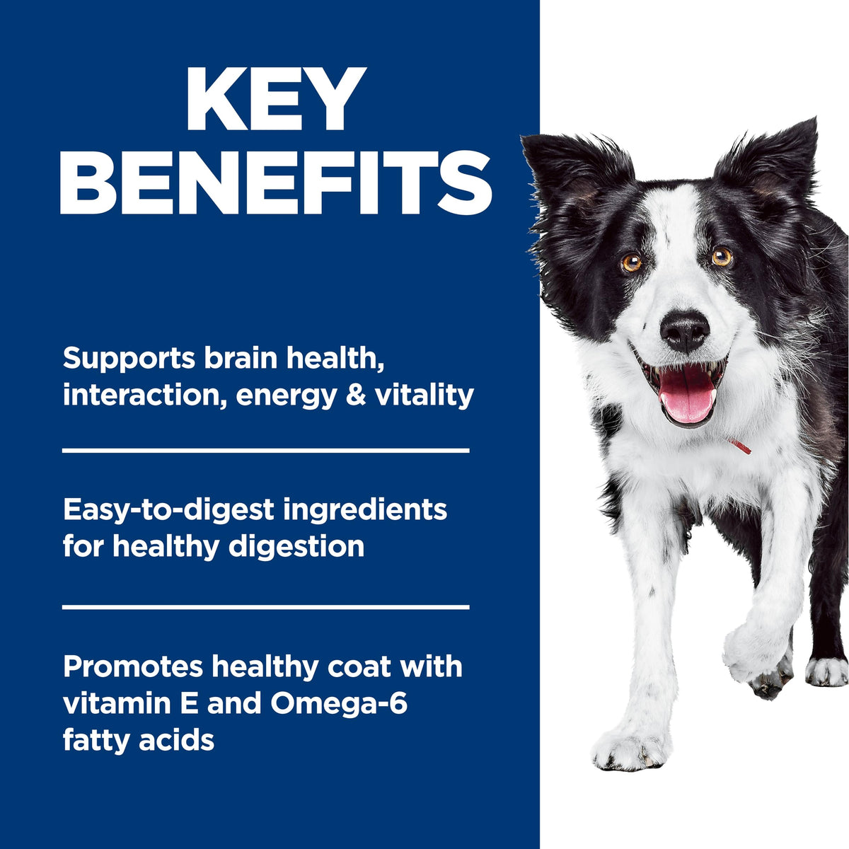 Hill's Science Diet Senior 7+ Senior Vitality Chicken & Rice Recipe Dry Dog Food 9.8 kg Bag 🍁 All In One Marketplace Canada