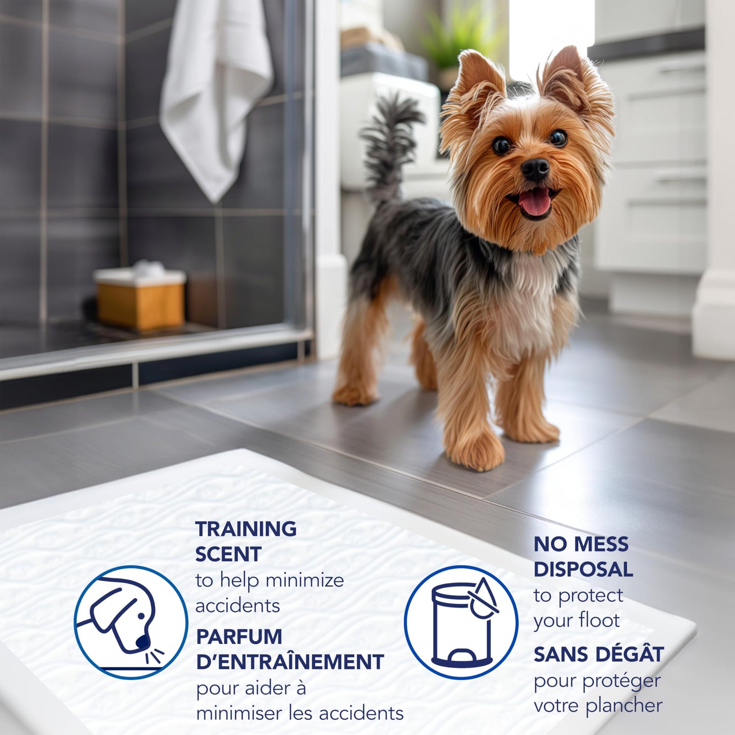 Scott Pet Guard Dog Pads, 12 Hour Odor Control, Large, 22" x 22", 50-Pack 🍁 All In One Marketplace Canada