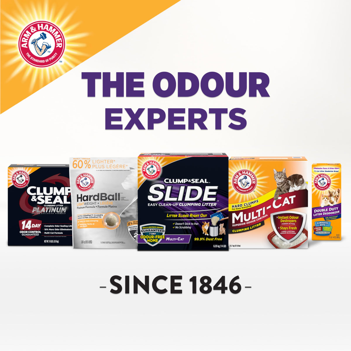 Arm & Hammer Slide Clumping Cat Litter, Multi-Cat Clay, Effortless Clean, 7-Day Odour Control, Dust-Free, Low-Tracking, Rock-Hard Clumps, Baking Soda Power, 6.4 kg 🍁 All In One Marketplace Canada