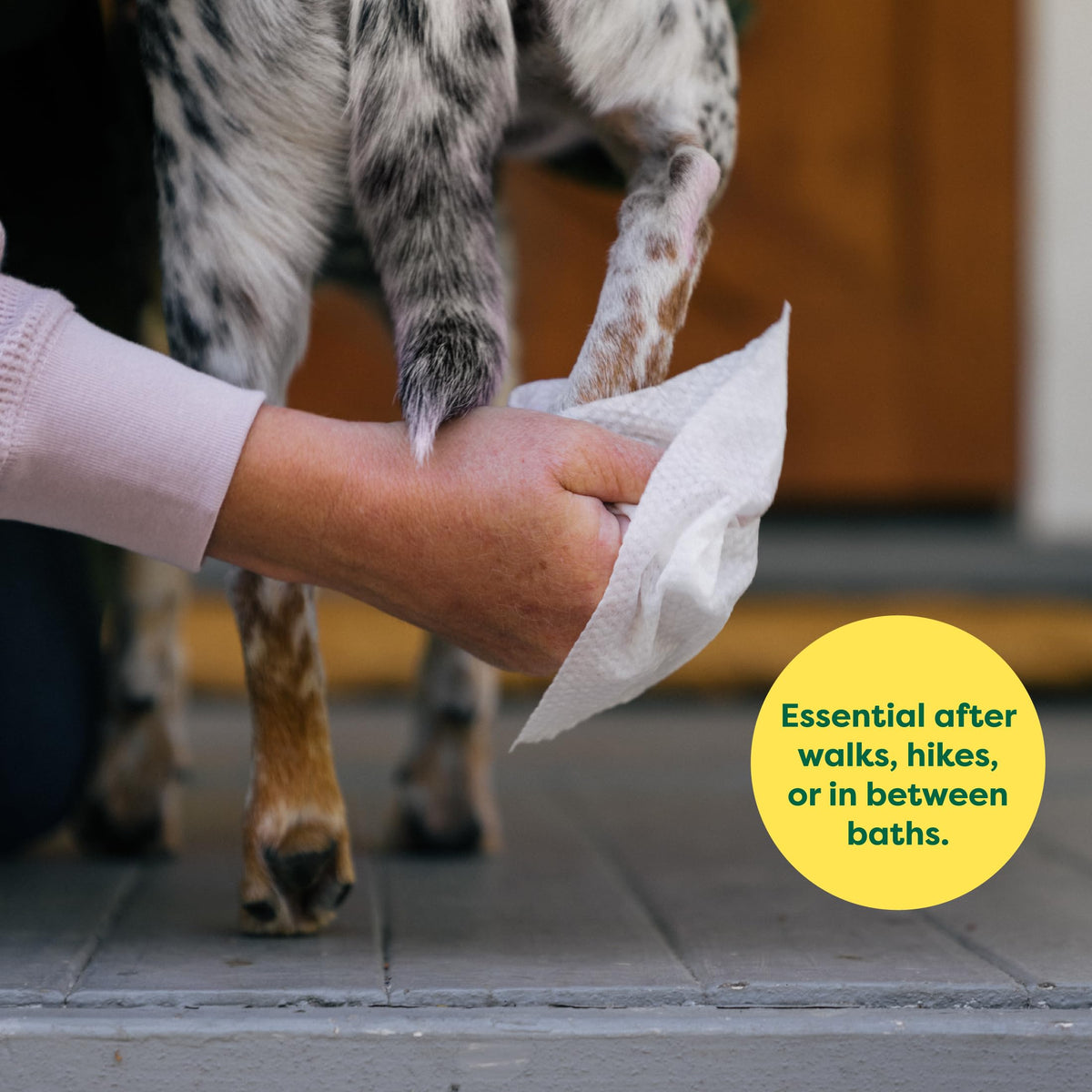 Earth Rated (A Canadian Company) Dog Wipes, Hypoallergenic, Cleaning and Hydrating, for Grooming Paws, Body and Butt, Lavender Scented, 400 Count 🍁 All In One Marketplace Canada