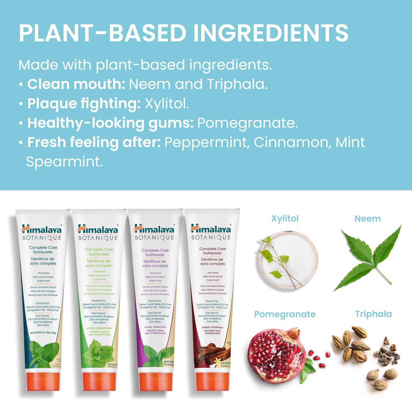 Himalaya Botanique Complete Care Toothpaste, for Brighter Teeth and Fresh Breath, Natural, Fluoride-Free, SLS-Free, Carrageenan-Free & Gluten-Free, Vegan, 150 g (5.29 oz), Variety 4 Pack 🍁 All In One Marketplace Canada
