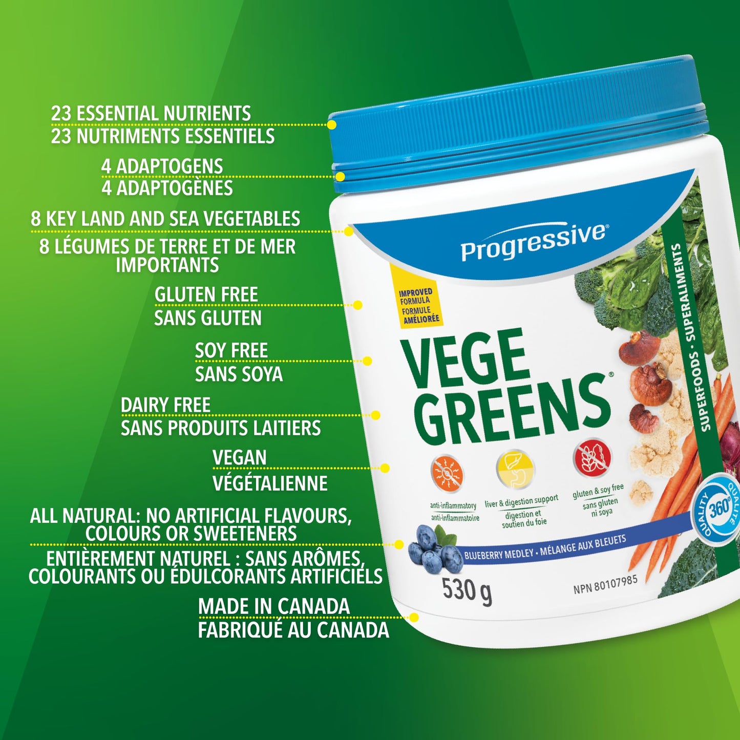 Progressive VegeGreens Blueberry Medley, Vegan Canadian-Made Superfoods + Daily Greens with 23 Whole Foods, Adaptogens, Anti-Inflammatory, Antioxidants & Digestive Support for Energy and Immunity, 530 g 🍁 All In One Marketplace Canada