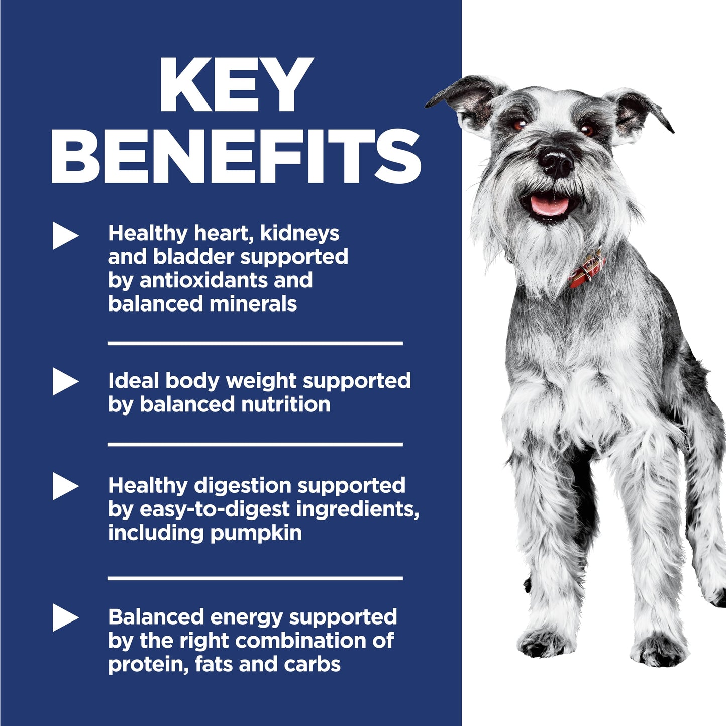 Hill's Science Diet Senior 7+ Small & Mini Chicken Meal, Barley & Brown Rice Recipe Dry Dog Food 2.04 kg Bag 🍁 All In One Marketplace Canada
