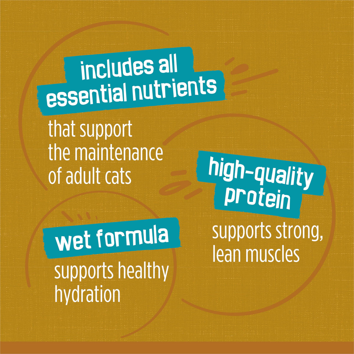 Friskies Tasty Treasures Wet Cat Food, Poultry & Fish Combo Variety Pack 3 Flavours - 156 g Can (24 Pack) 🍁 All In One Marketplace Canada