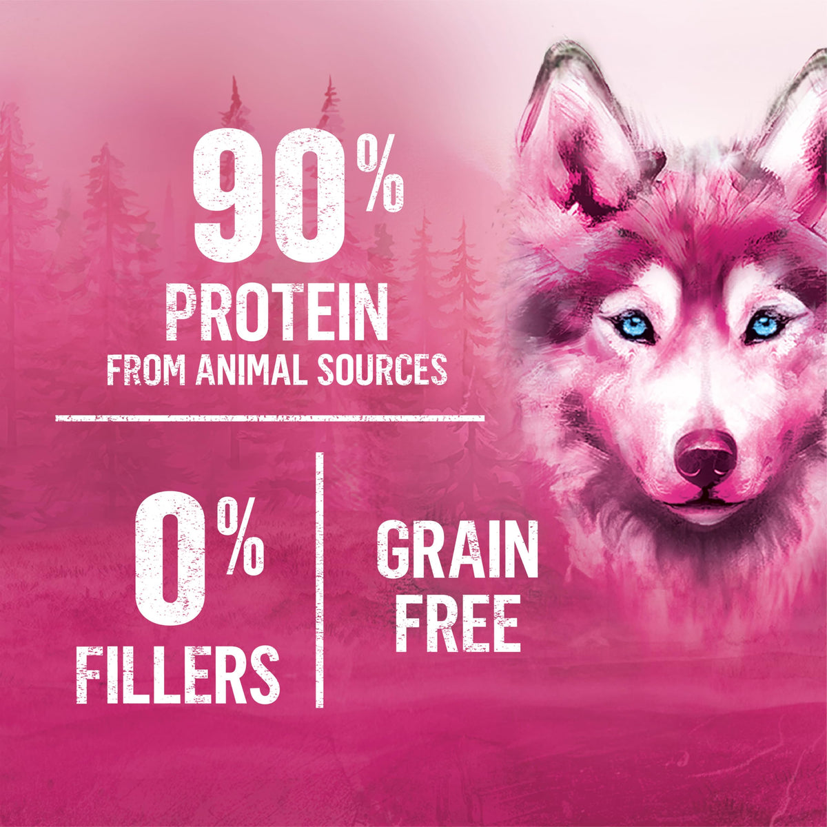 Beyond Wild Wet Dog Food, Ground Entrée Beef, Liver & Lamb (12 Pack) 🍁 All In One Marketplace Canada