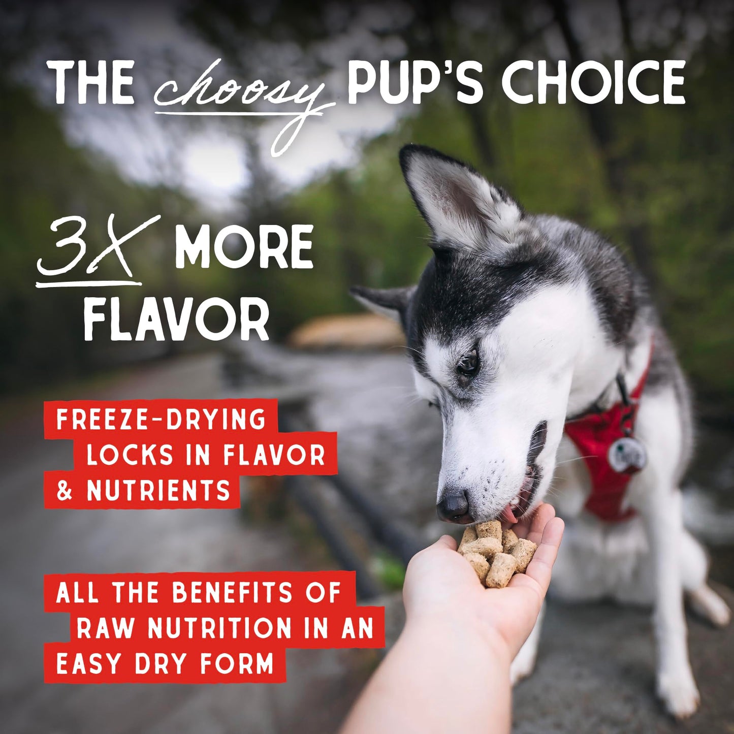 Stella & Chewy’s Freeze Dried Raw Super Beef Meal Mixer – Dog Food Topper for Small & Large Breeds – Grain Free, Protein Rich Recipe – 510g Bag 🍁 All In One Marketplace Canada