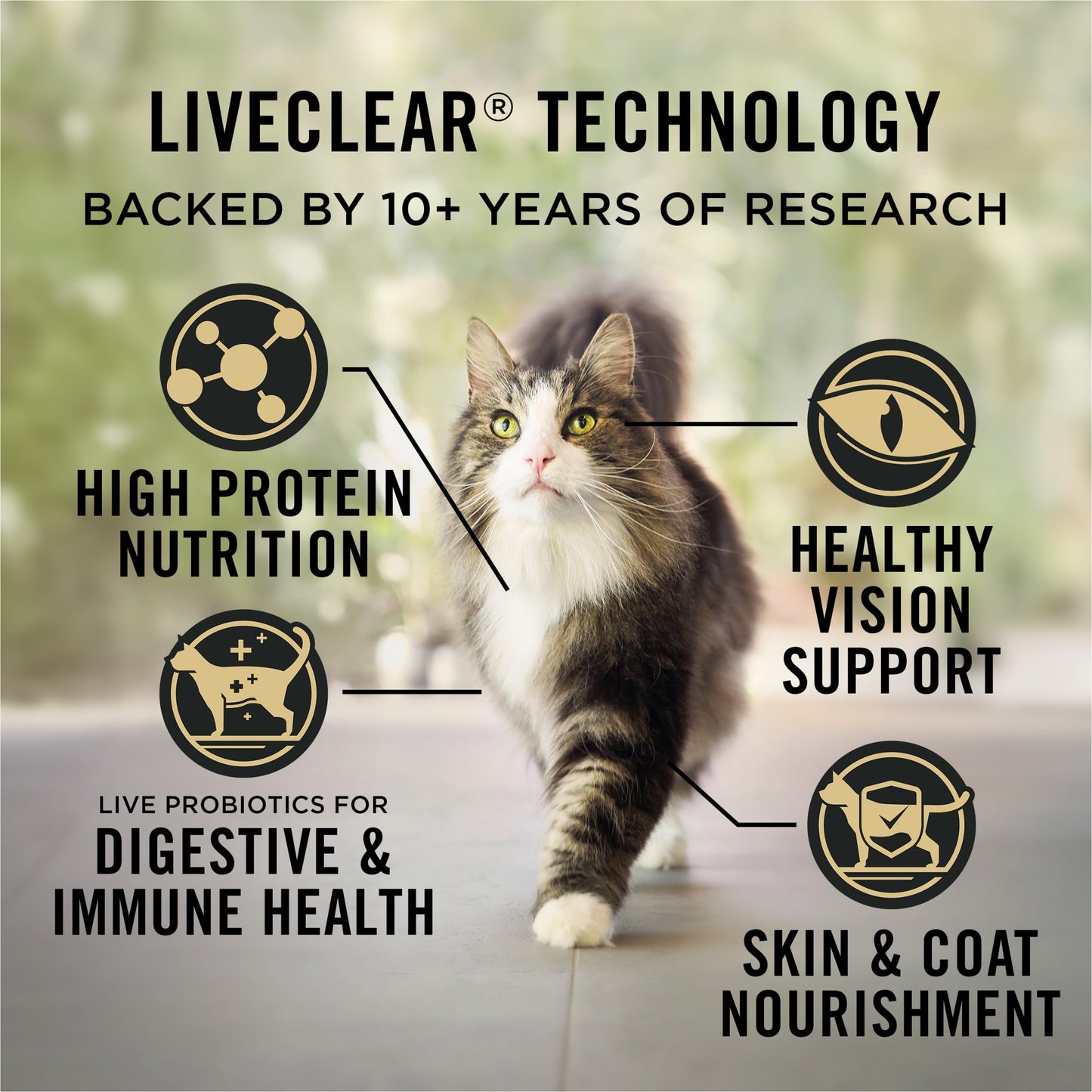 Purina Pro Plan Specialized LiveClear Dry Cat Food, Chicken & Rice - 3.18 kg Bag (1 Pack) 🍁 All In One Marketplace Canada