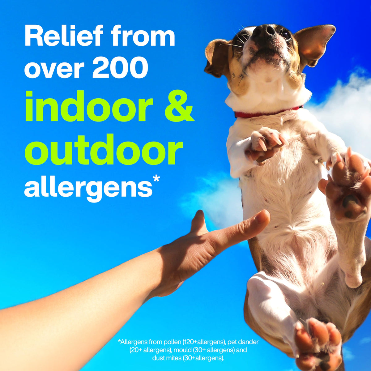 Claritin Rapid Dissolve Allergy Medicine, 24-Hour Non-Drowsy Relief 10 mg, 50 Tablets 🍁 All In One Marketplace Canada
