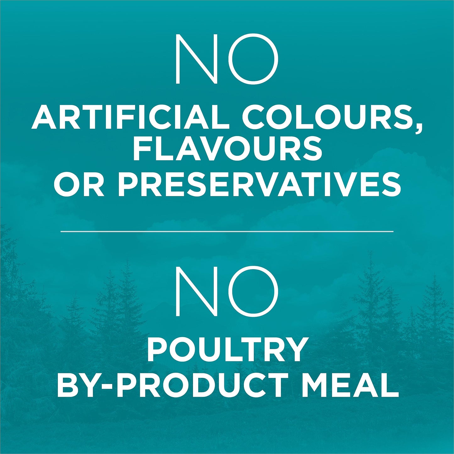 Purina ONE True Instinct Grain Free Dry Cat Food, High Protein Chicken - 6.53 kg Bag 🍁 All In One Marketplace Canada
