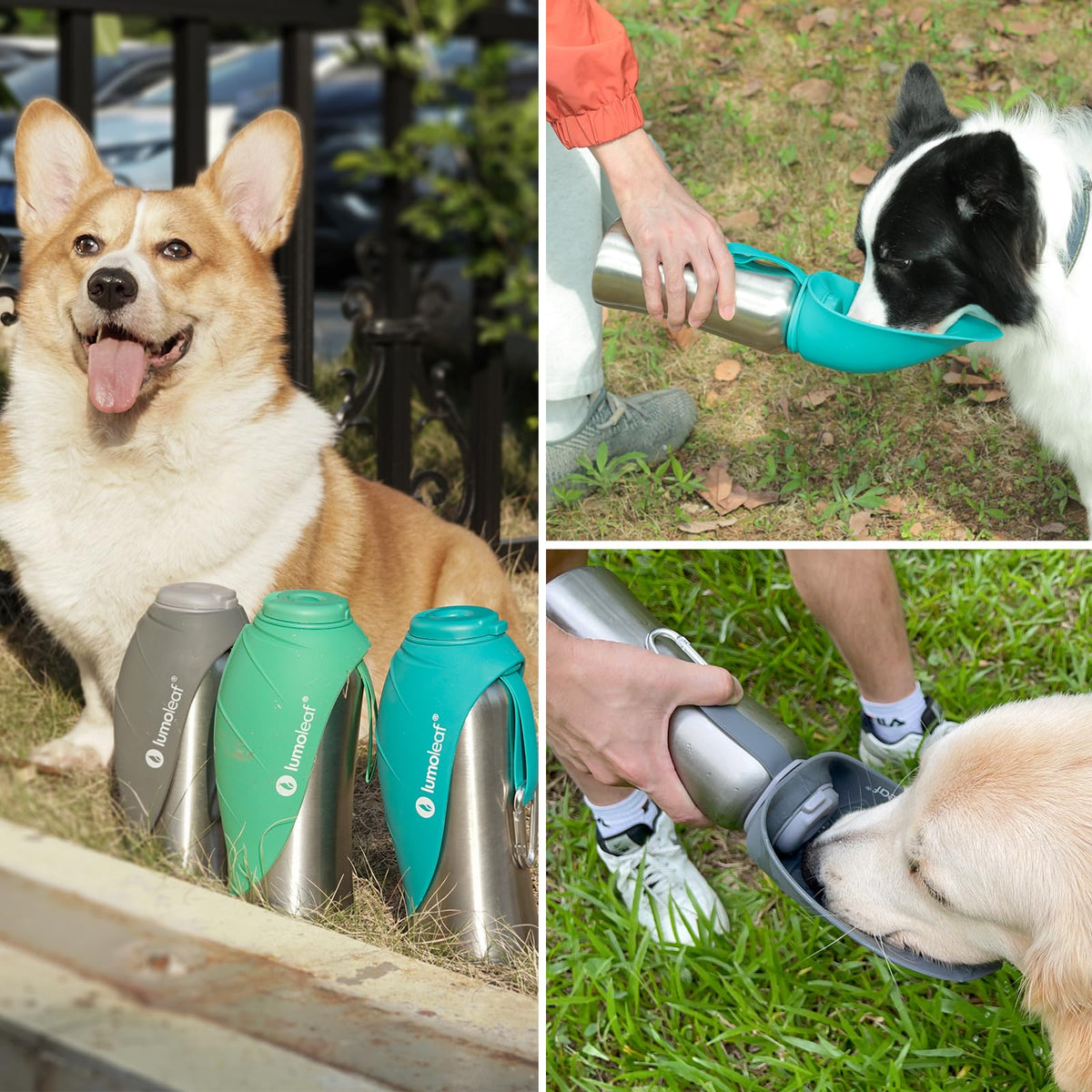 LumoLeaf Portable Dog Water Bottle 800 ml, Stainless Steel Pet Travel Water Bottle Dispenser for Walking, Hiking and Outdoor, Portable Water Bowl for Large Dogs (Blue) 🍁 All In One Marketplace Canada