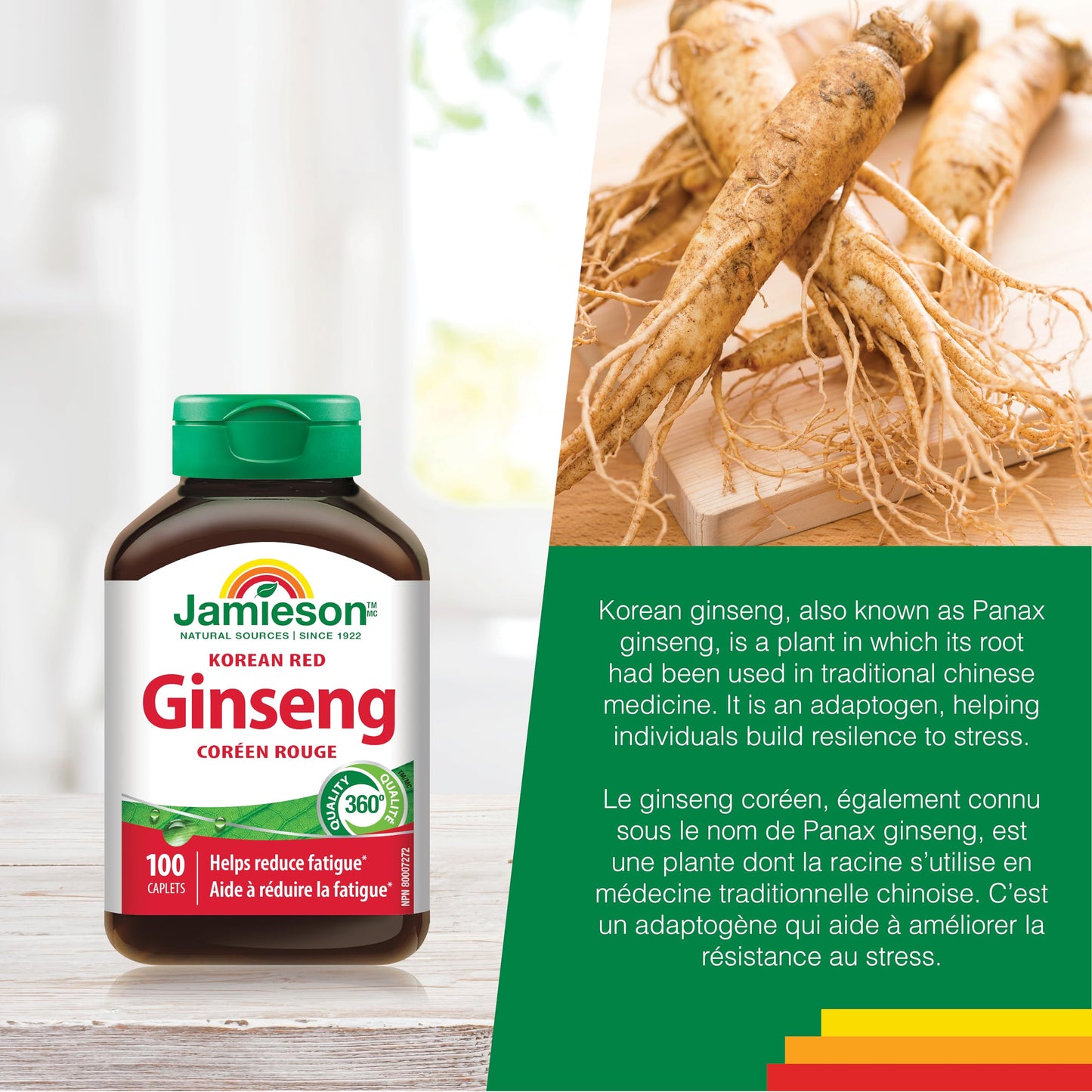 Jamieson Korean Red Ginseng, Panax Ginseng, 100 Caplets, Stress Support, Reduces Fatigue, Boosts Cognitive Health, Helps Enhance Physical Performance. Non-GMO, Proudly Canadian 🍁 All In One Marketplace Canada