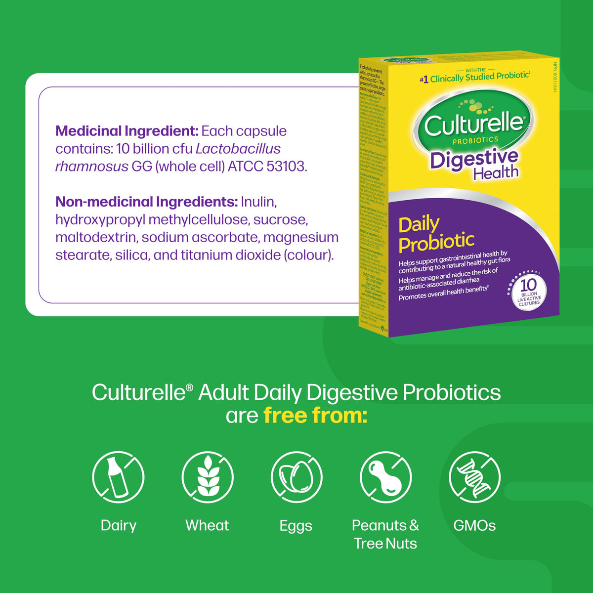 Culturelle Daily Digestive Health Daily Probiotic for Men and Women | With 100% Naturally Sourced Lactobacillus GG Strain †††††† | Pharmacist Recommended ††††† | Gluten Free and Vegan | 30 Count Capsules 🍁 All In One Marketplace Canada