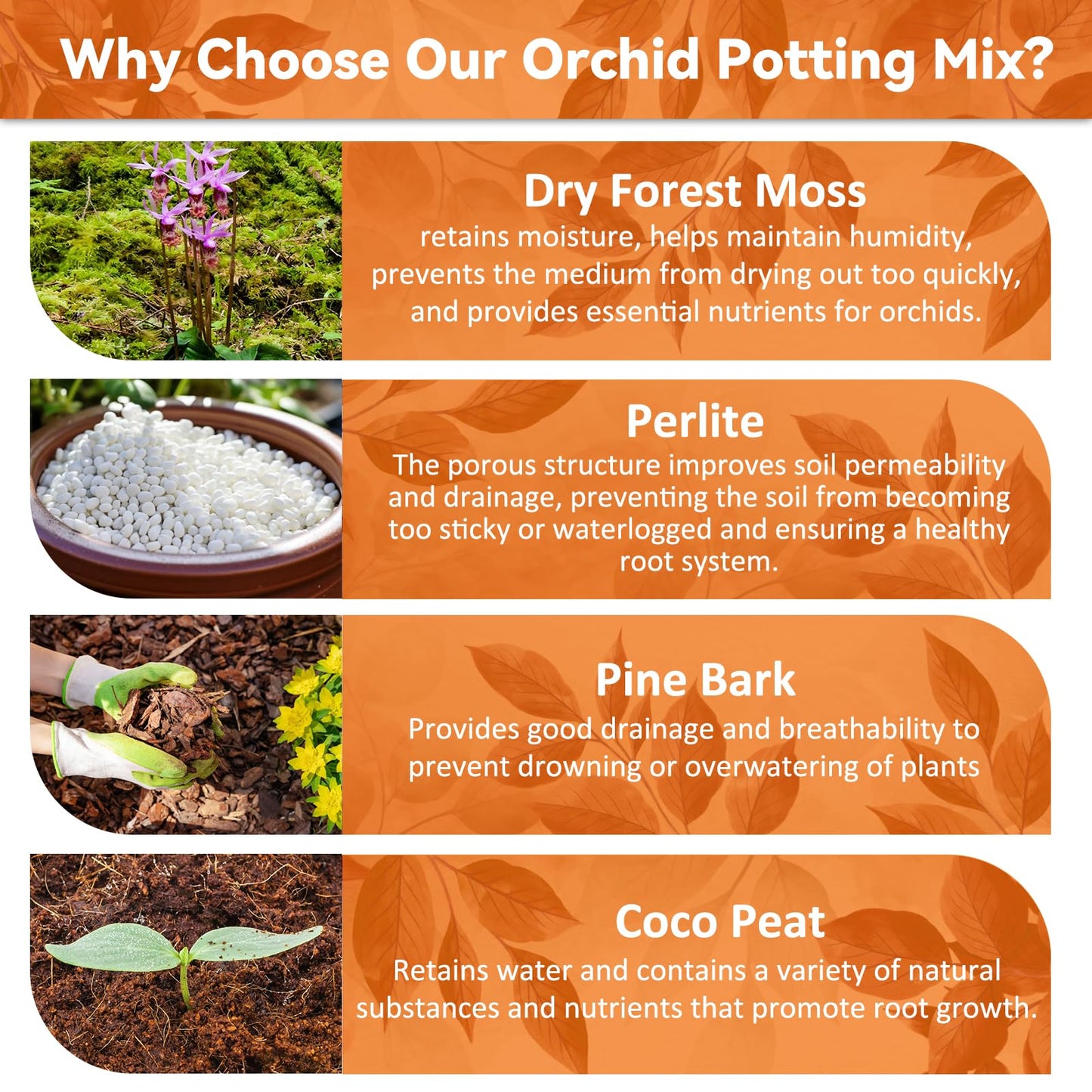 Riare 2L Orchid Potting Mix for Repotting- Orchids Repotting Kit Include Moss, Pine Bark, Perlite, Coco Peat- Premium Orchid Soil Medium for Indoor Potted Plants Root Ventilation & Expanding 🍁 All In One Marketplace Canada