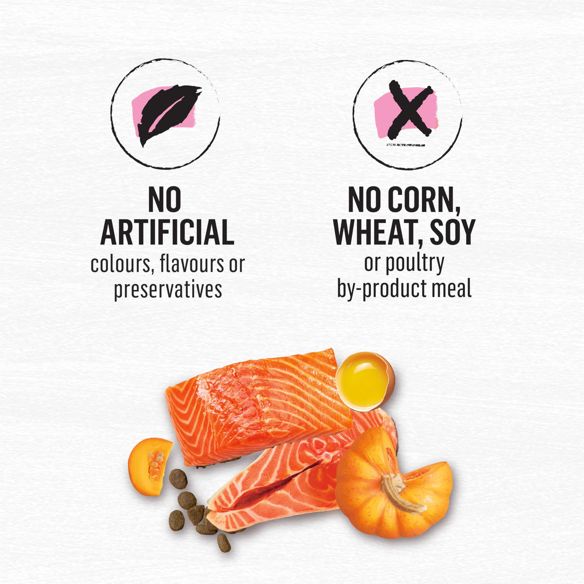 Beyond Superfood Blend Natural Dry Dog Food, Wild Caught Salmon, Egg & Pumpkin - 10.2 kg Bag 🍁 All In One Marketplace Canada