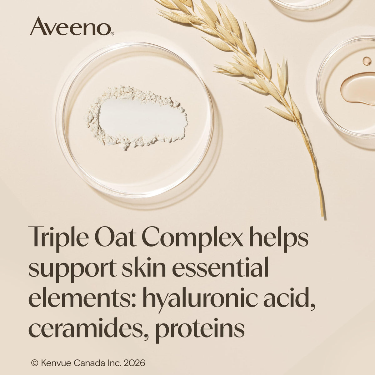 Aveeno Skin Relief Moisturizing Body Lotion Heals Very Dry, Sensitive Skin, fast absorbing Lotion with Soothing Triple Oat & Shea Butter Formula, Fragrance Free Lotion, Non-Comedogenic, 975mL 🍁 All In One Marketplace Canada