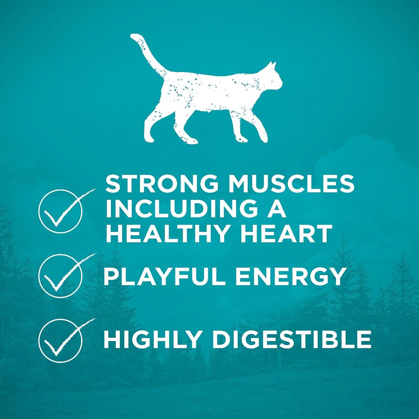 Purina ONE True Instinct Grain Free Dry Cat Food, High Protein Chicken - 6.53 kg Bag 🍁 All In One Marketplace Canada