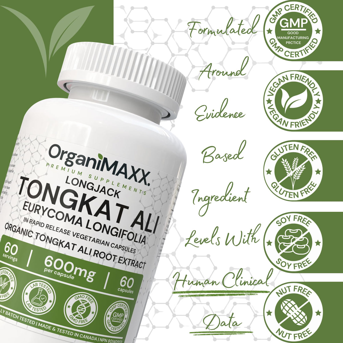 6X Strength Tongkat Ali 600 MG PER SINGLE CAPSULE 60,000 MG Equivalent 100:1 Extract Ratio Highest Potency, OrganiMAXX Longjack Eurycoma Longifolia Non-GMO Premium Tongkat Ali Supplement For Men. 🍁 All In One Marketplace Canada