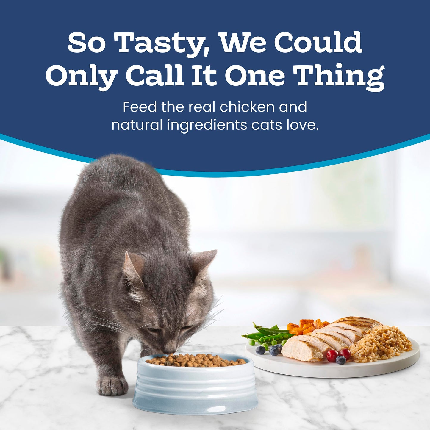 Blue Buffalo Tastefuls Chicken & Brown Rice Recipe Sensitive Stomach Adult Dry Cat Food, Real Chicken First, Deliciously Healthy Natural Cat Food, Natural Ingredients, Supports Digestion, 3.1kg Bag 🍁 All In One Marketplace Canada