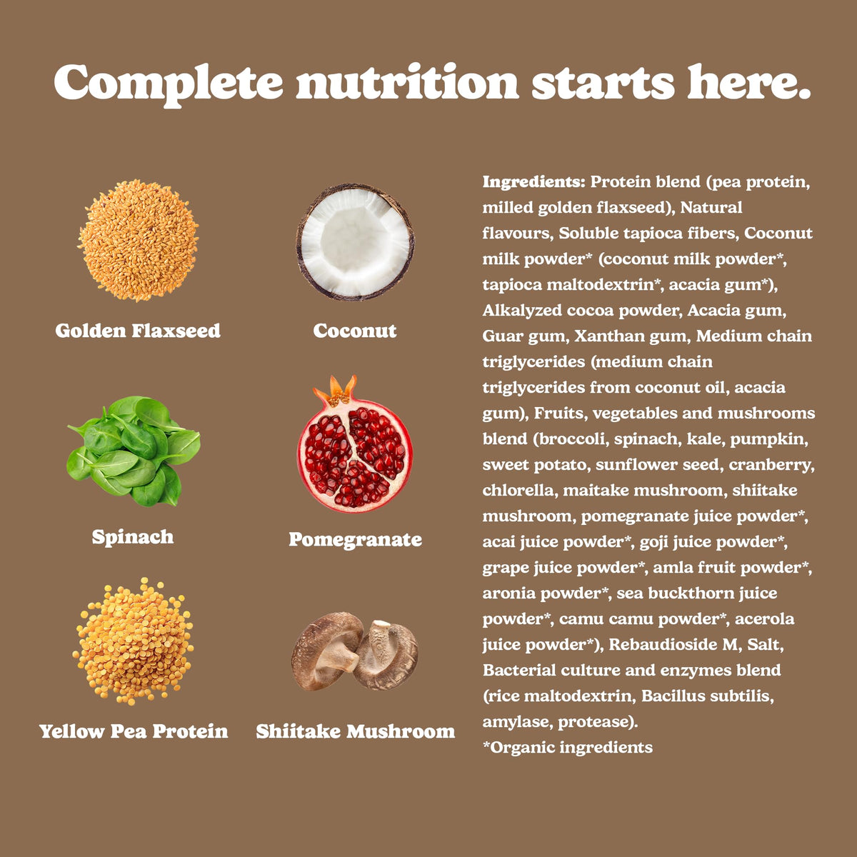 Good Protein Vegan Plant-based Protein Powder 100% Natural, Non-GMO, Dairy-free, Gluten-free, Soy-free, No Added Sugar and Nothing Artificial. Chocolate Fudge All-in-One Shake 880 grams 🍁 All In One Marketplace Canada