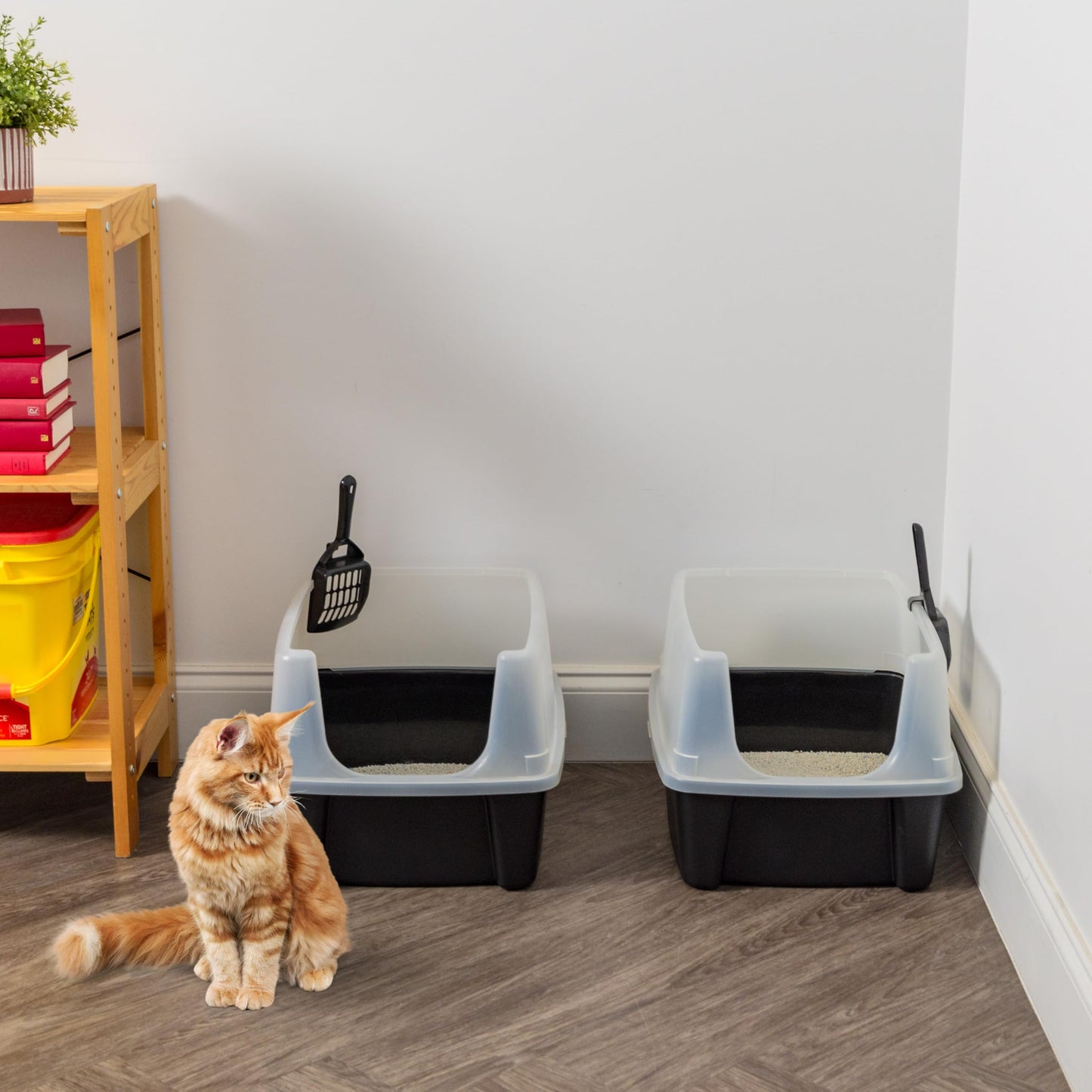 IRIS USA Large Cat Litter Boxes, Open Top High Sided Pan w/Scoop, Black 🍁 All In One Marketplace Canada
