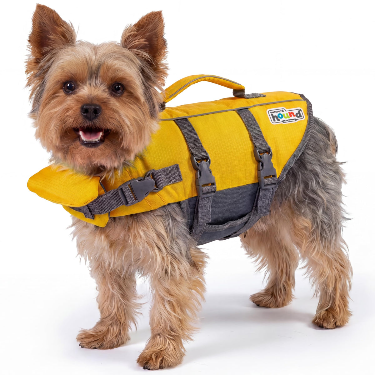 Outward Hound Granby Splash Dog Life Jacket with Handle, Reflective Floating Vest for Swimming & Boating, Maximum Buoyancy, All Skill Levels, Extra-Small Dogs & Puppies (11–15" Girth), Yellow, X-Small 🍁 All In One Marketplace Canada