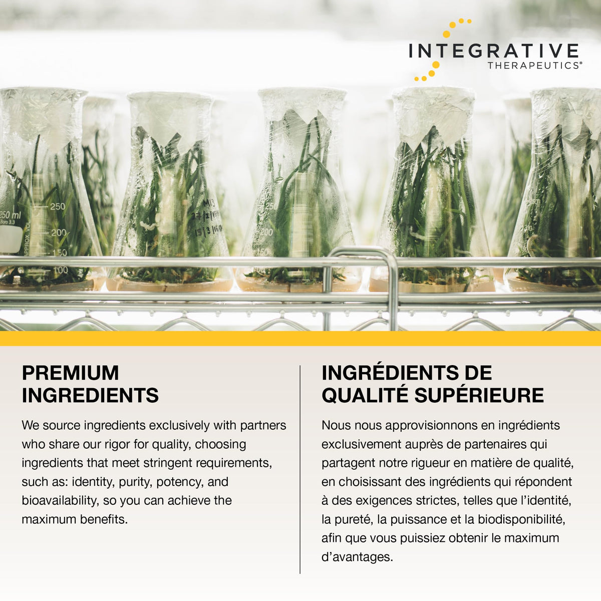 Integrative Therapeutics Zinc Carnosine – Premium Zinc Supplement – 75mg of Zinc Carnosine – Factor in the Maintenance of Good Health - PepZin GI – 60 Capsules 🍁 All In One Marketplace Canada